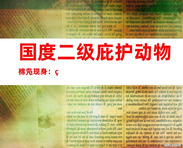 国度二级庇护动物棉凫现身：白洋淀野生鸟类增至238种