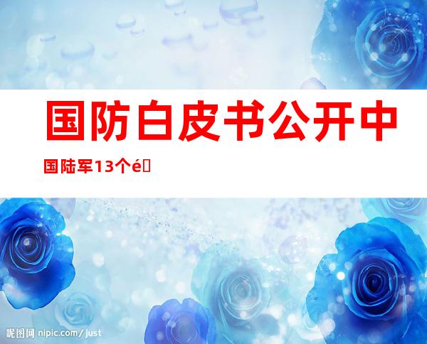 国防白皮书公开中国陆军13个集团军隶属情况