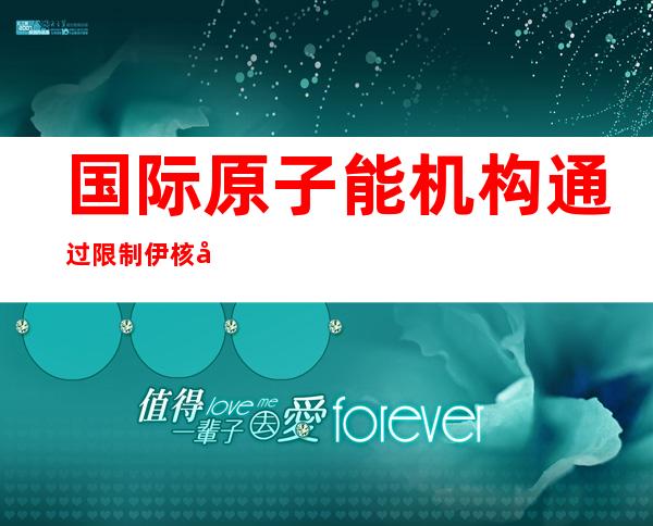 国际原子能机构通过限制伊核决议 伊朗政府称将坚定应对