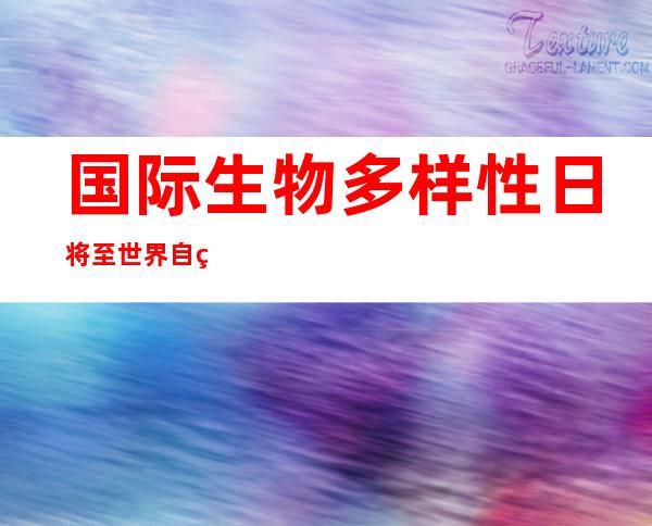 国际生物多样性日将至 世界自然基金会等举办活动保护水中“微笑天使”