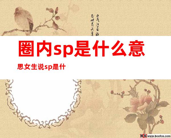 圈内sp是什么意思 女生说sp是什么意思(sp英文缩写)