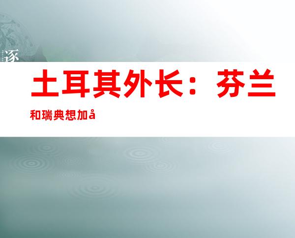 土耳其外长：芬兰和瑞典想加入北约或需修改法律