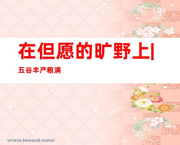 在但愿的旷野上 | 五谷丰产粮满仓 山西高平45万亩玉米入进收成期