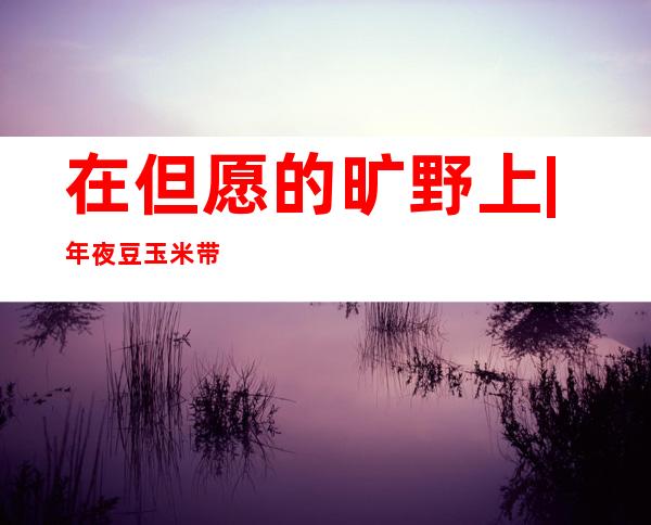 在但愿的旷野上 | 年夜豆玉米带状复合莳植实现“一季双收”