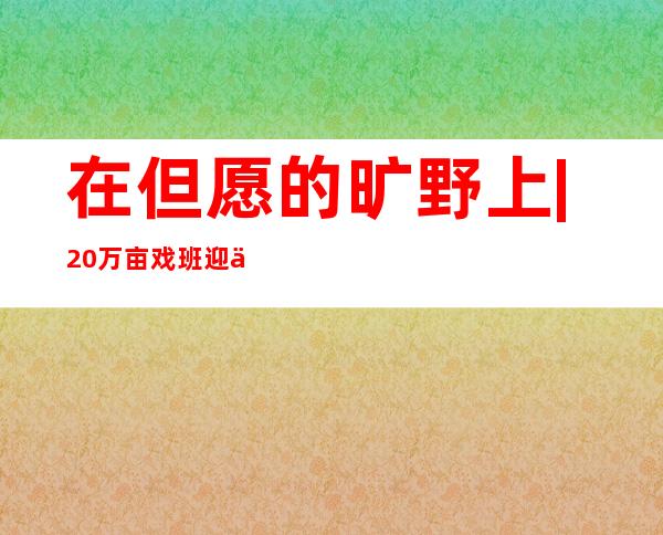 在但愿的旷野上 | 20万亩戏班迎丰收 梨农绝享丰收喜悦