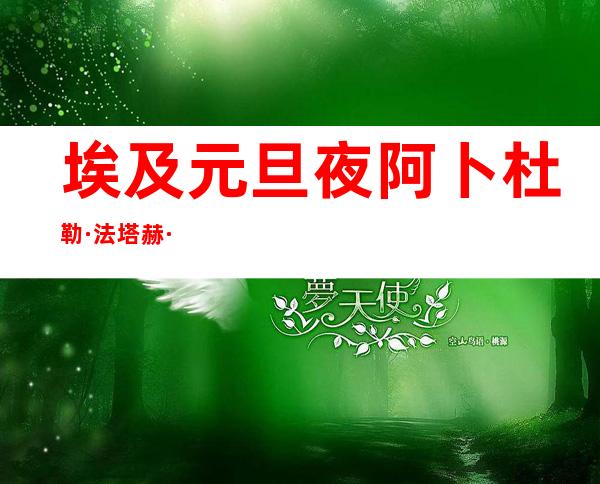 埃及元旦夜阿卜杜勒·法塔赫·塞西选举权投票站内惊现可信物品不翼而飞