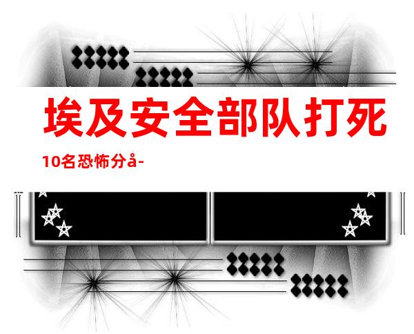 埃及安全部队打死10名恐怖分子