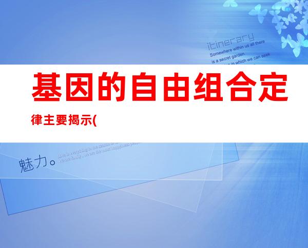 基因的自由组合定律主要揭示( )基因之间的关系-基因的自由组合定律发生在什么时期