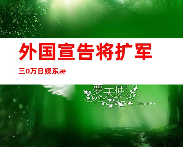 外国宣告 将扩军 三0万 日媒东推西扯自添“功名”