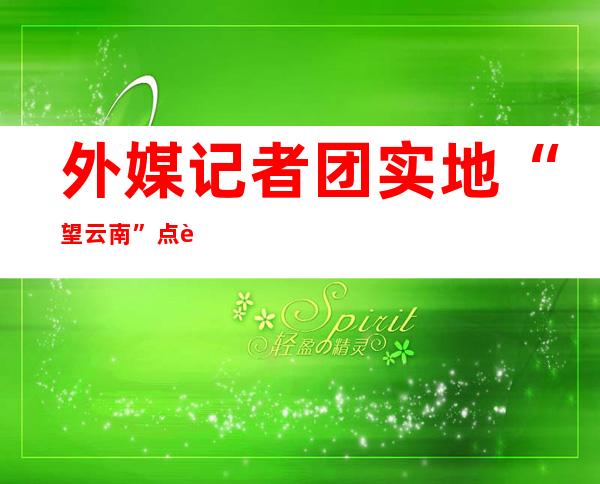 外媒记者团实地“望云南” 点赞墟落振兴感觉平易近族文化