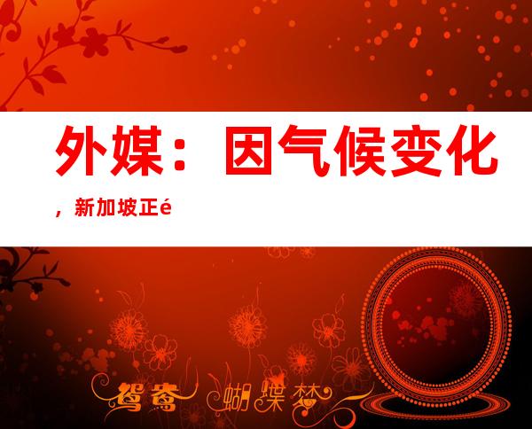 外媒：因气候变化，新加坡正面临登革热暴发的“紧急情况”