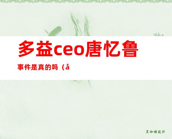 多益ceo唐忆鲁事件是真的吗?（多益集团 CEO 唐忆鲁）