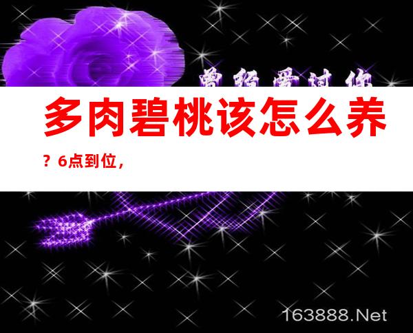 多肉碧桃该怎么养？6点到位，颜色靓丽爆小崽，轻松盆栽成老桩