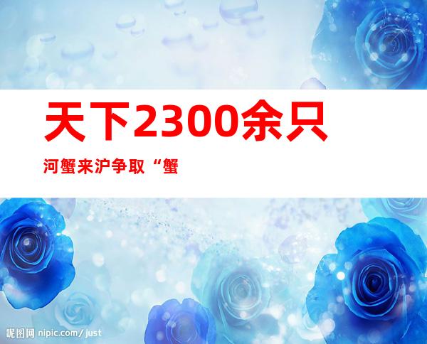 天下2300余只河蟹来沪争取“蟹王”“蟹后” 本年河蟹整体产量降低但品质更好