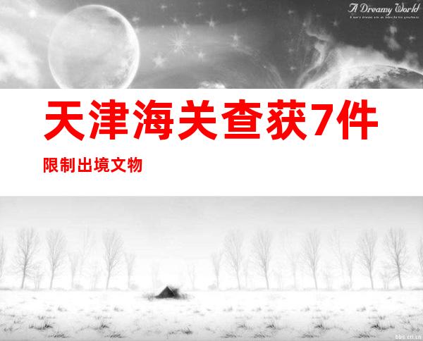 天津海关查获7件限制出境文物 申报为“日用品玩具”