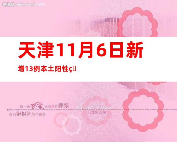 天津11月6日新增13例本土阳性熏染者