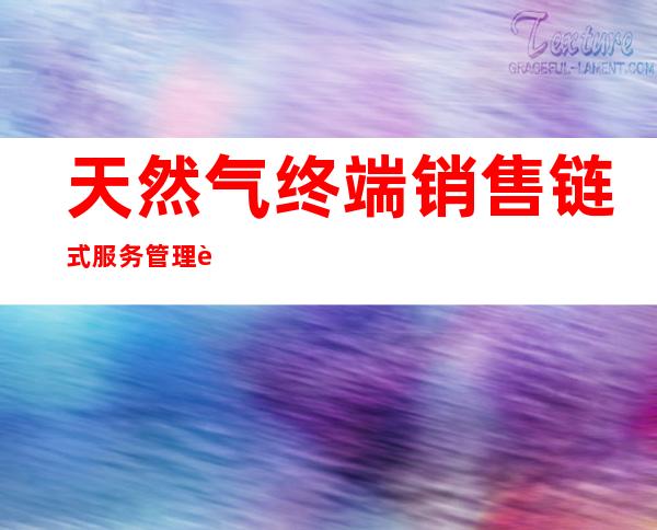 天然气终端销售链式服务管理获奖2006年石油石化企协——天然气终端销售市场现状与发展趋势预测 中图分类号