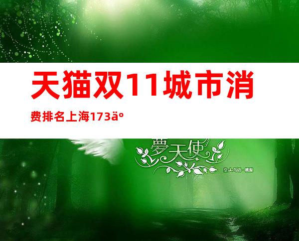 天猫双11城市消费排名上海173亿元居首，苏州排第八 _城市