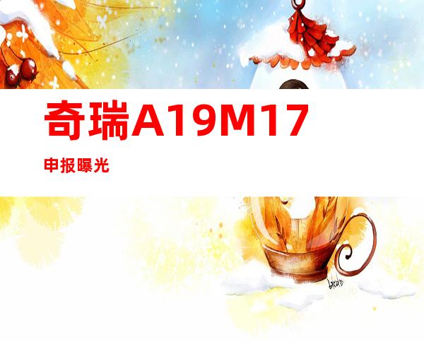 奇瑞A19/M17申报曝光