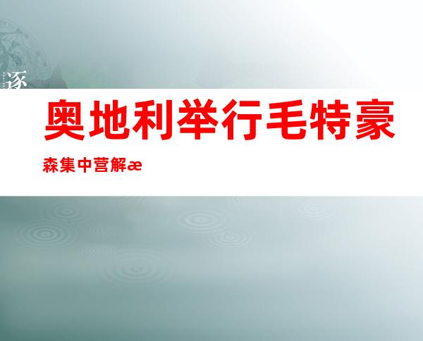 奥地利举行毛特豪森集中营解放77周年纪念活动