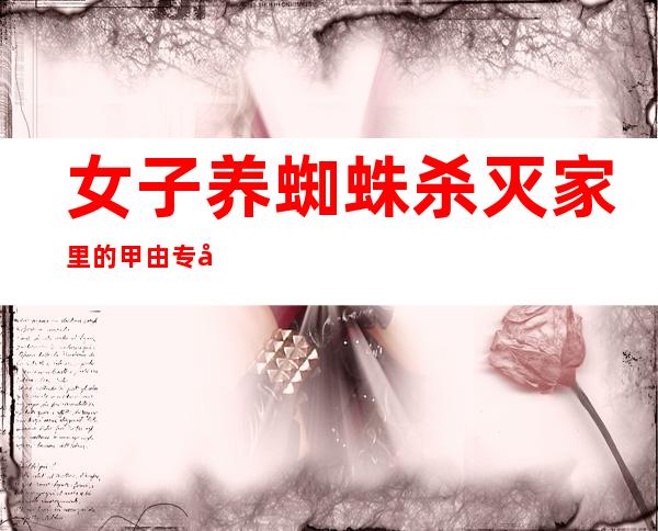 女子养蜘蛛杀灭家里的甲由 专家：结果不会很抱负，另有一定危害