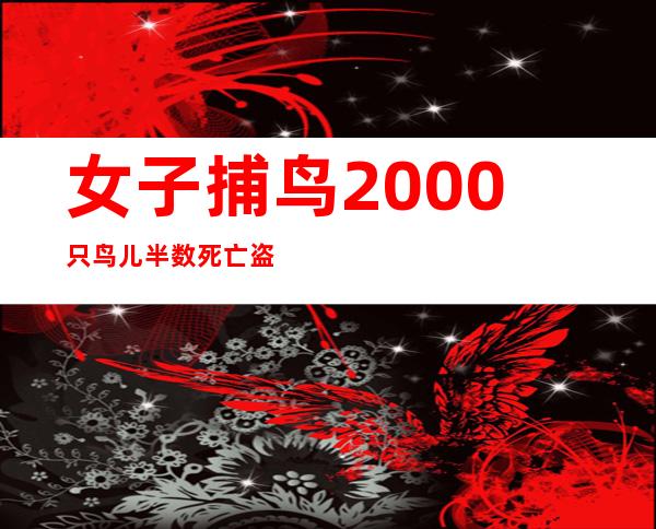 女子捕鸟2000只 鸟儿半数死亡盗猎者实在可恶