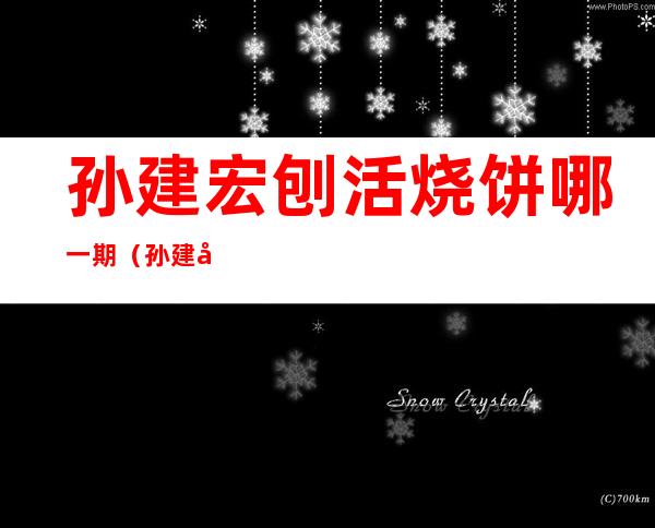 孙建宏刨活烧饼哪一期（孙建宏刨活烧饼第几集）