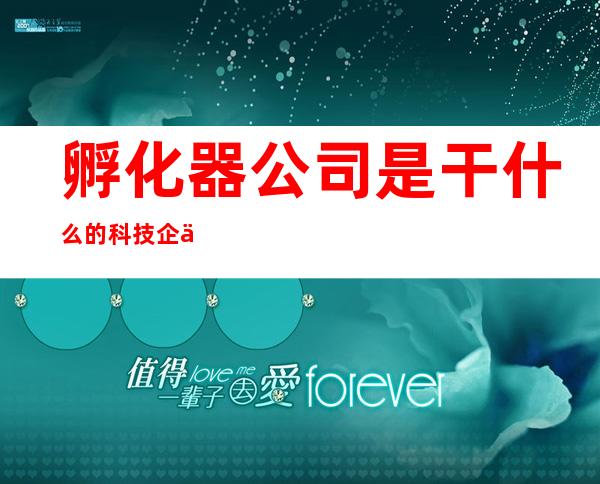 孵化器公司是干什么的 科技企业孵化器（孵化器公司是干什么的16000和4000）