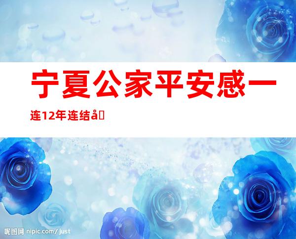 宁夏公家平安感一连12年连结在90%以上