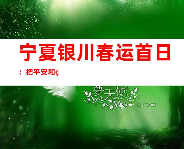 宁夏银川春运首日：把平安和爱带回家