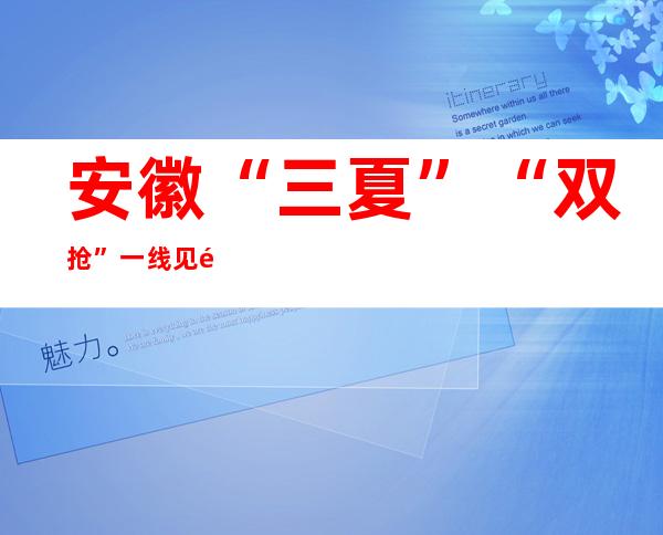 安徽“三夏”“双抢”一线见闻：粮归仓种下地 不误时不负夏