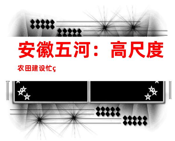 安徽五河：高尺度农田建设忙 稳粮“有底气”