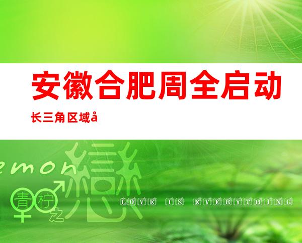 安徽合肥周全启动长三角区域复活儿户政营业信息化打点流程