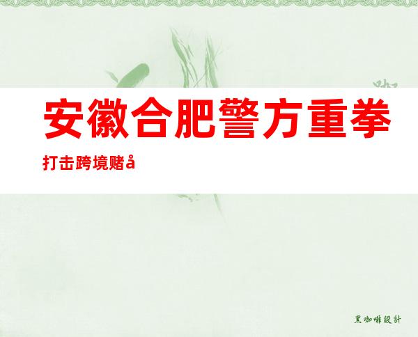 安徽合肥警方重拳打击跨境赌博 抓获犯罪嫌疑人1856人