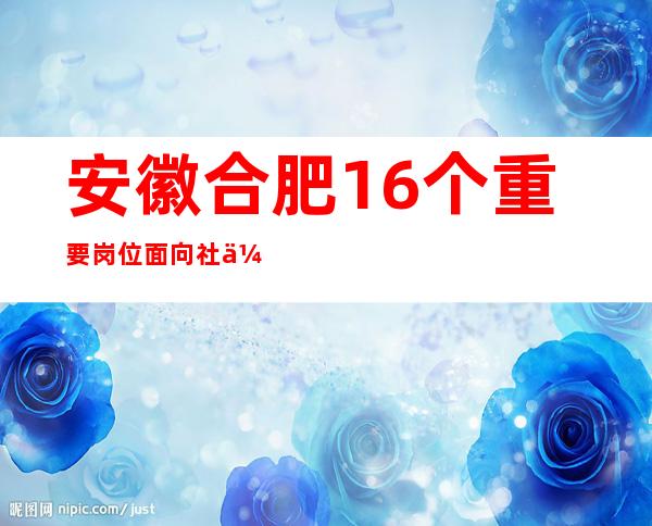 安徽合肥16个重要岗位面向社会广发“英雄帖”