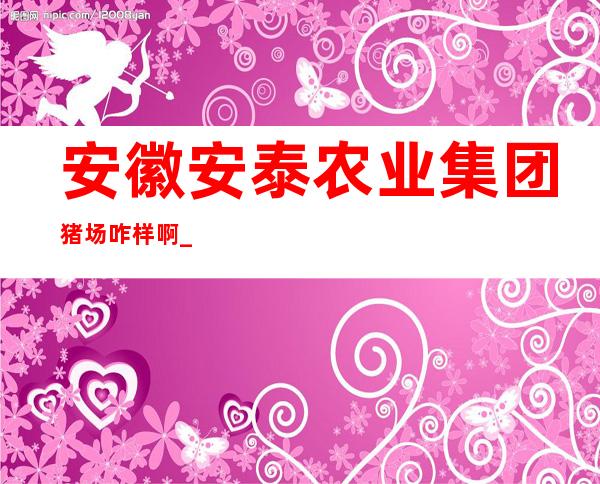 安徽安泰农业集团猪场咋样啊_安徽安泰农业集团董事长2022