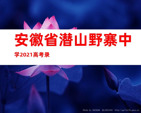 安徽省潜山野寨中学2021高考录取榜，安徽省潜山野寨中学2021高考喜报