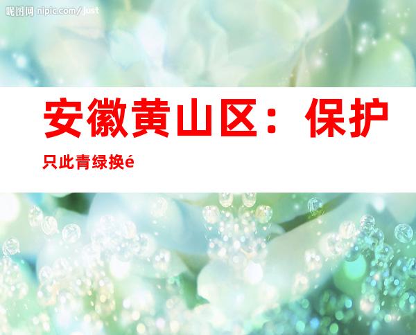 安徽黄山区：保护只此青绿换黄金万两