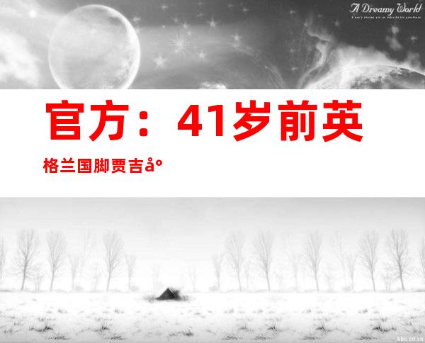 官方：41岁前英格兰国脚贾吉尔卡退役，曾效力埃弗顿、谢菲联