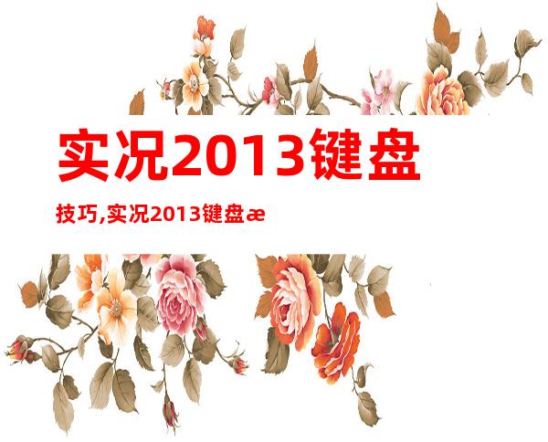 实况2013键盘技巧,实况2013键盘操作技巧推荐