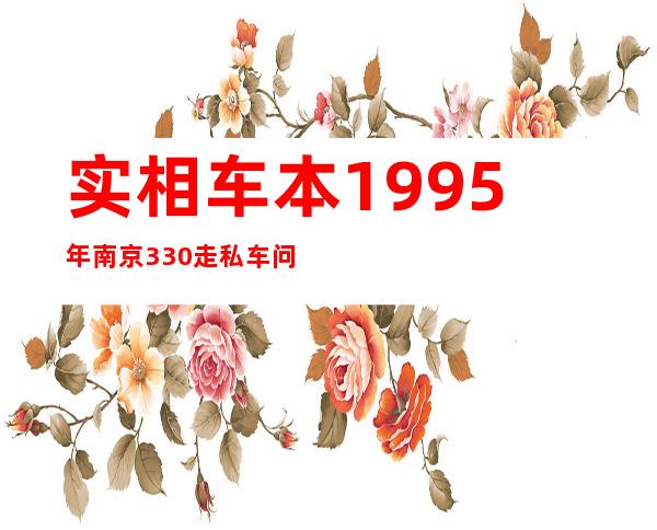 实相车本1995年南京330走私车问题初结（小说正文）