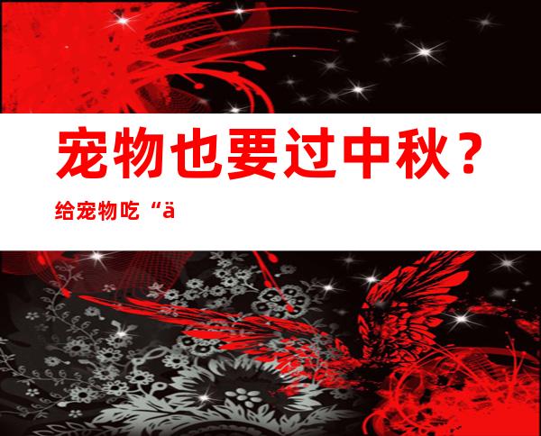 宠物也要过中秋？给宠物吃“专属月饼”，你怎样望？