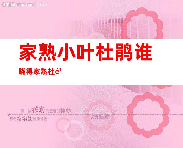 家熟小叶杜鹃 谁 晓得家熟杜鹃花如何 栽吗