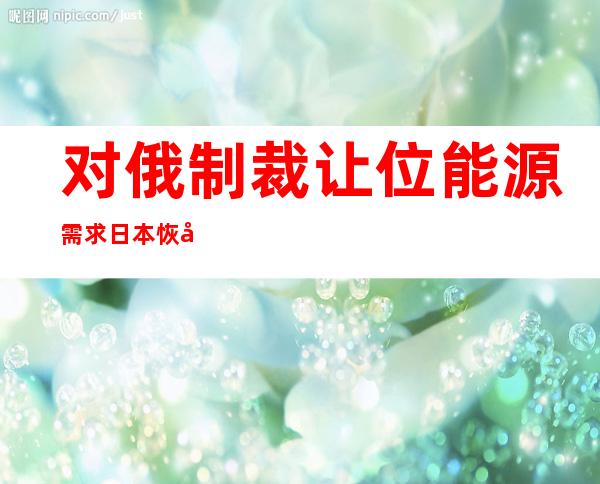 对俄制裁让位能源需求 日本恢复进口俄石油