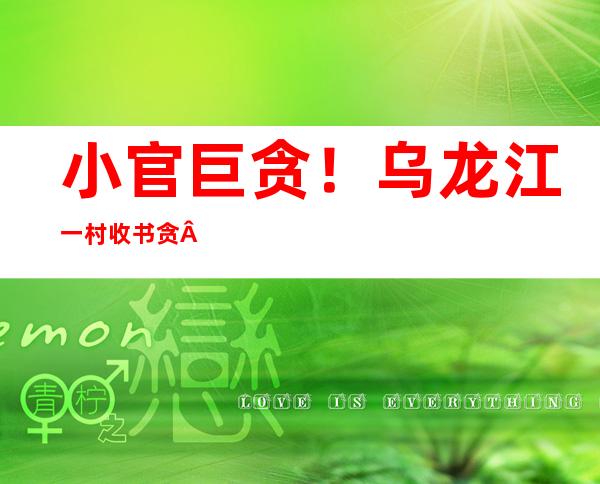 小官巨贪！乌龙江一村收书贪 二亿多 调用 私款 八 五 二0万