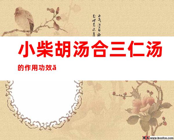 小柴胡汤合三仁汤的作用功效、主治病症、临床应用