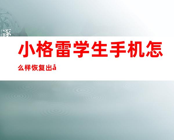 小格雷学生手机怎么样恢复出厂设置（小格雷学生手机能下载微信吗?）