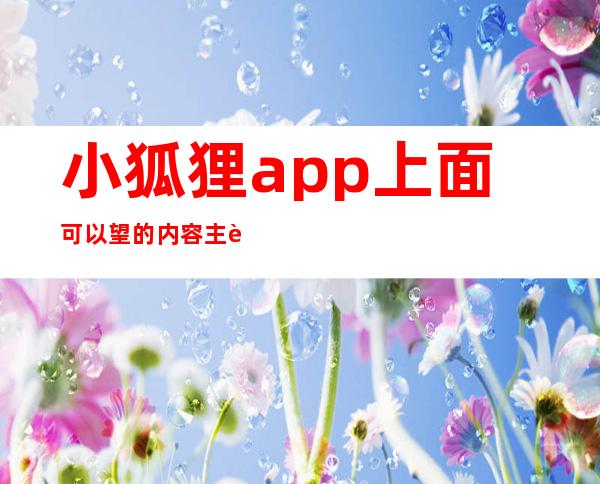 小狐狸app上面可以望的内容主要有哪几种