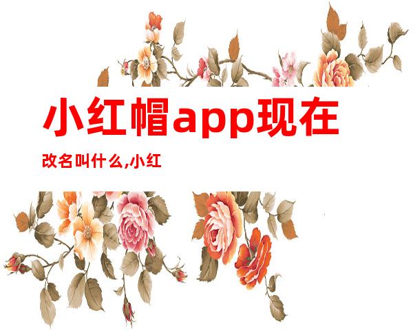 小红帽app现在改名叫什么,小红帽最新官网下载