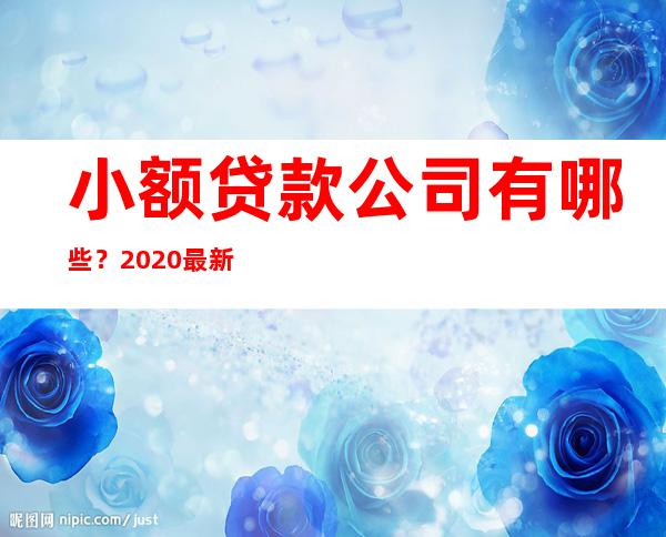 小额贷款公司有哪些？2020最新小额贷款公司排行榜十强